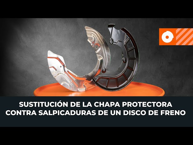 Cómo cambiar Protector disco de freno delantero y trasero BMW: tutorial pdf