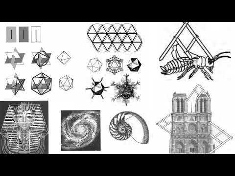 A Beginner’s Guide to Constructing the Universe: The Mathematics of Cosmic Design