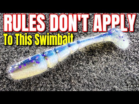 The Rules DON'T Apply To This Swimbait