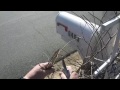 Pete Winter Pruning 'Jumbo' Muscadine