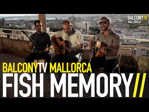 FISH MEMORY - F GROUND (BalconyTV)