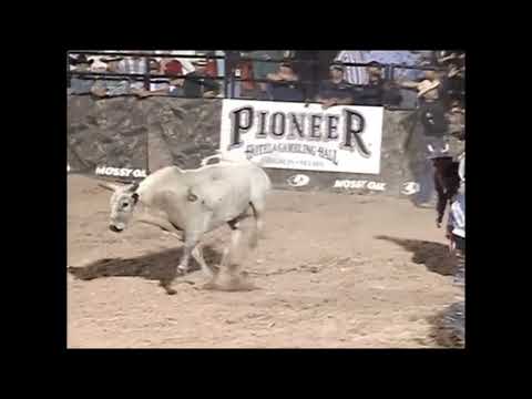 Prime Time bucks Chad Wareham - 00 PBR Laughlin