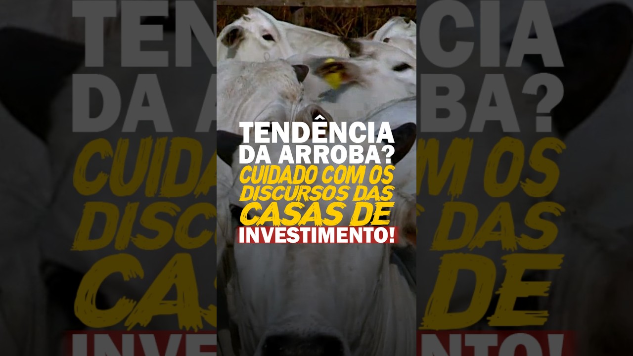 TENDÊNCIA DA ARROBA? CUIDADO COM OS DISCURSOS DAS CASAS DE INVESTIMENTO!