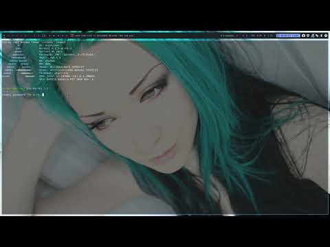 ArcoLinux : 3209 NEWS - Chadwm - you can use zsh on this desktop from now on