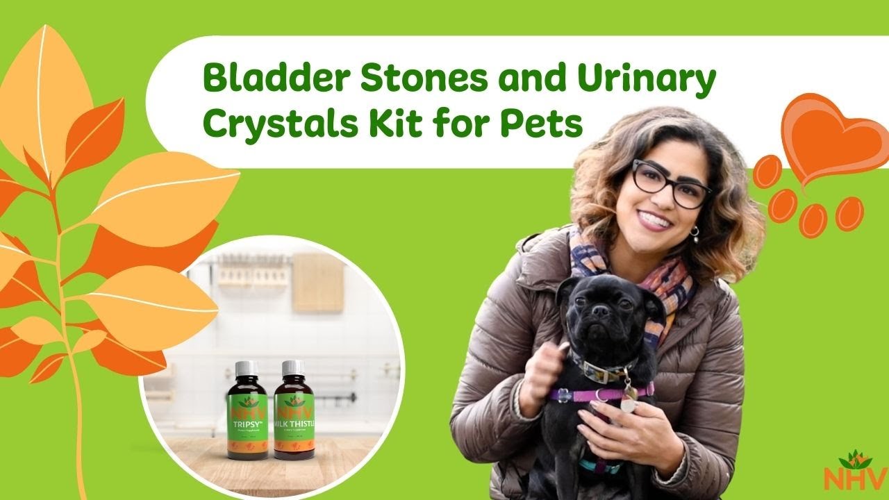 Kit de calculs vésicaux et cristaux urinaires NHV pour chats et chiens