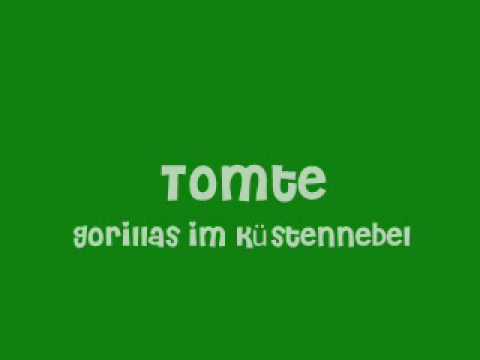 Tomte - Gorillas im Küstennebel