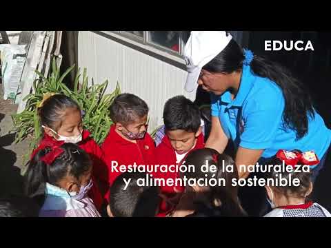 School Gardens in low-income communities