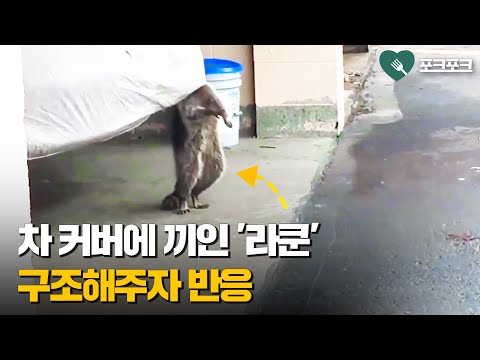 아이콘