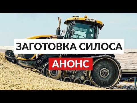 Заготовка кукурузы на силос. АНОНС