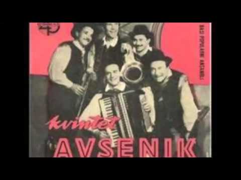 Slavko Avsenik & Seine Original Oberkrainer -Die Frühen Jahre