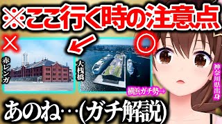 赤レンガより大桟橋を推めるそらちゃん【ときのそら ホロライブ 切り抜き】