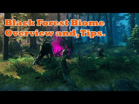 Valheim -  Learn about the Dark Forest in a Biome Overview and, General Tips.