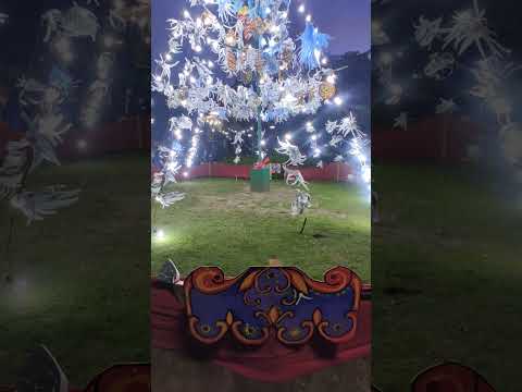 Se encendió el Arbolito de Navidad en la Plaza Dardo Rocha 🎄