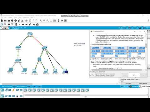 9.1.3 Packet Tracer - Identify MAC and IP Addresses