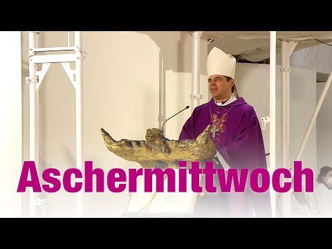 Bistum Passau and Bischof Stefan Oster