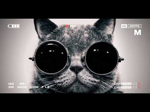 baet rap(2001)95bpm.Trap.BigBubyTape.Kizaru.Type Beats.Old School.prod py{Sony produocr}