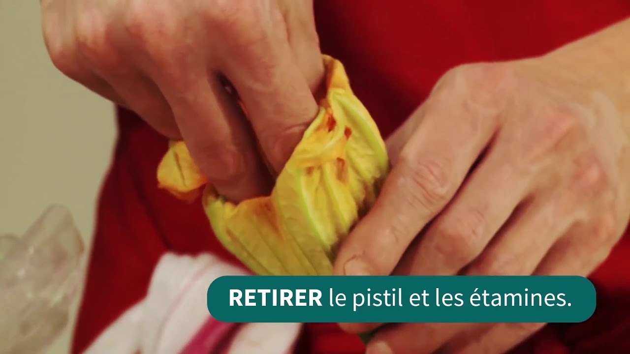 Farcir des fleurs de courgette