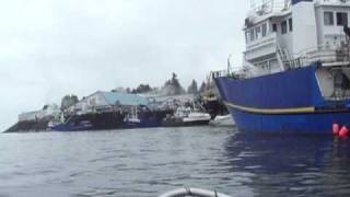 preview picture of video '27 5 Leaving the dock to catch them herrings, Petersburg, Alaska'