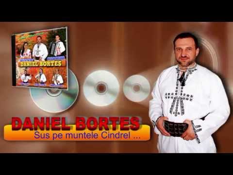 DANIEL BORTES - Sus pe muntele Cindrel ...