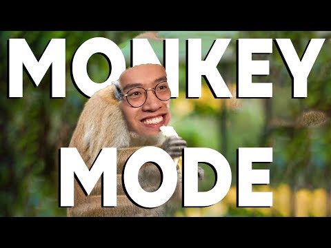 FlyQuest: LCS Level Communication