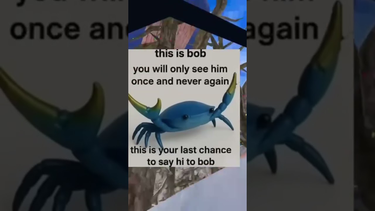 You wont be able to see bob if u scroll #funny #gorillatag #fypシ゚viral