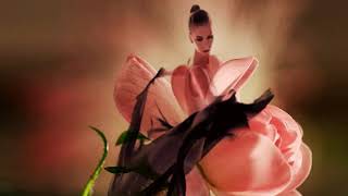 Tinieblas - Diana Navarro