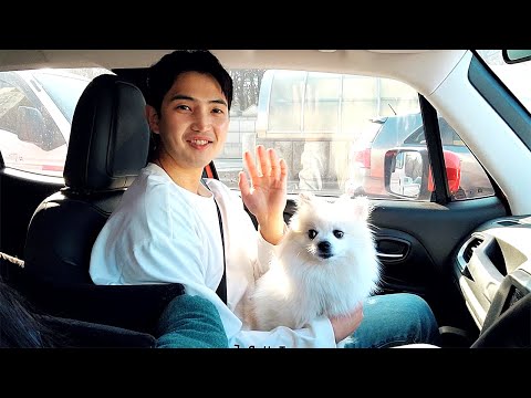강아지 산책 브이로그! (feat.운동 한달쉰 영티 충남 선수에게 처참히.....)
