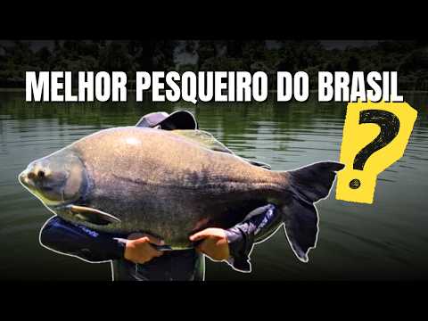 O MELHOR PESQUEIRO DO BRASIL? Descubra nesse vídeo
