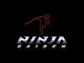 Freeze Up Ninja Gaiden 2004 Music Extended HD
