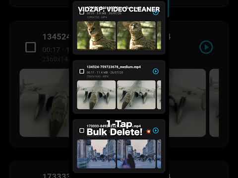 Duplicate Video Remover VidZap video thumbnail