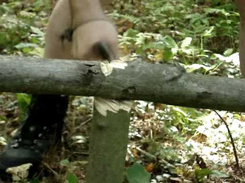 BRKT Bravo 1 & Debris Shelter, Part 1