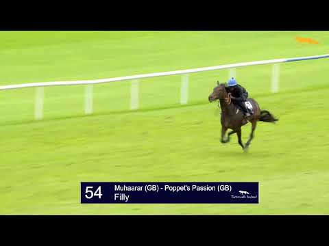 Muhaarar Breeze 18/5/22