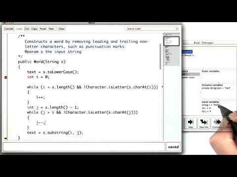 Learn Using the Debugger with Sara 3 Intro to Java Programming - Mind ...