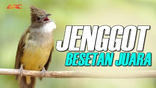 Download lagu MASTERAN  CUCAK JENGGOT BESET NGETRIL SUPER GACOR mp3