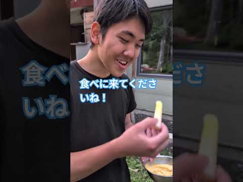こぶしの山で!【こぶしの板さんサブチャンネル】