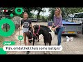 Tessa kan eindelijk weer naar het logeerhuis