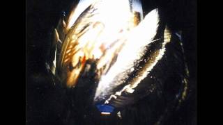 Alastair Galbraith/Matt de Gennaro "Rehua"