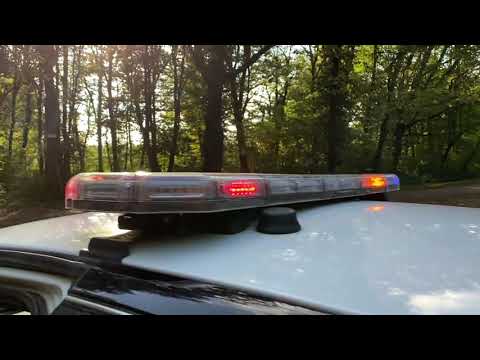 Ford Crown Victoria Police Interceptor - 2009