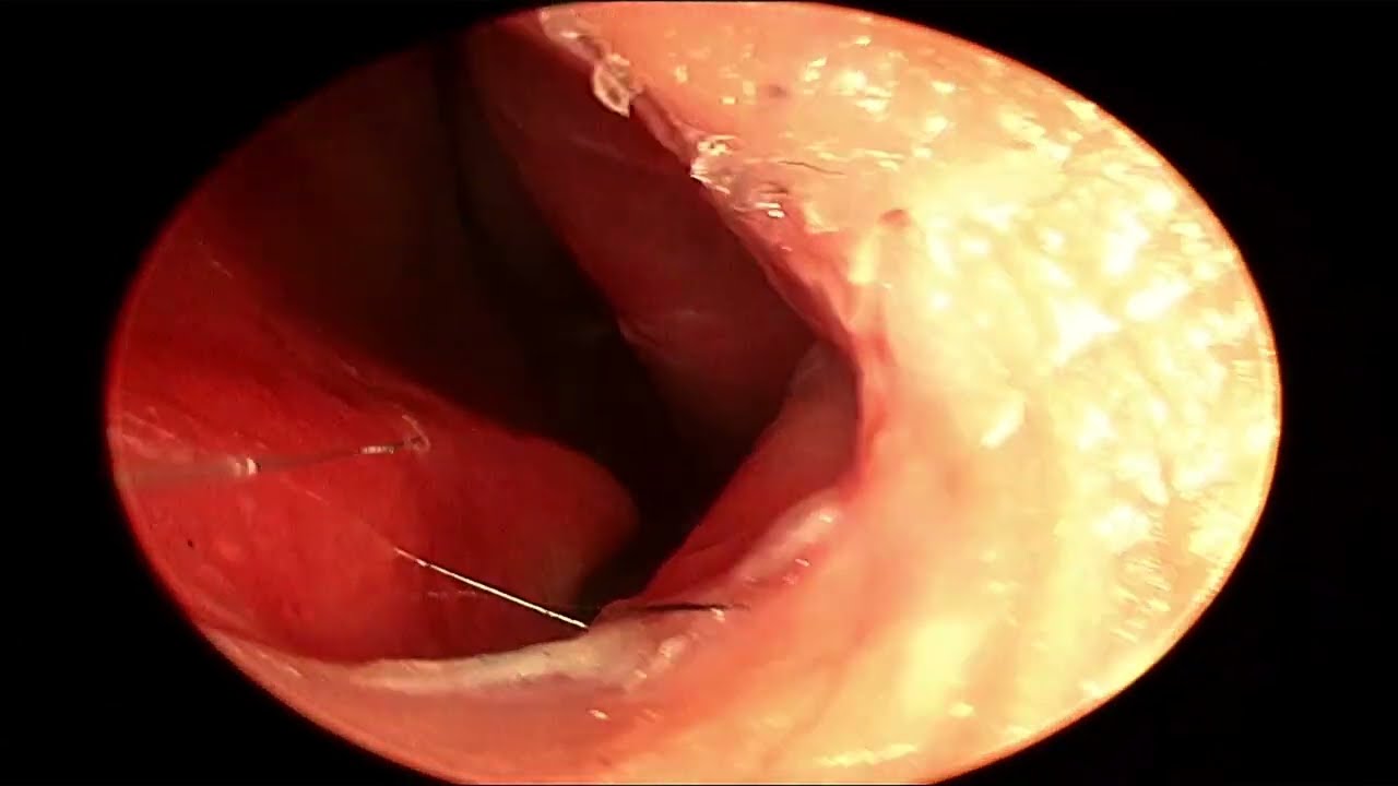 Juan Carlos Mendez Gutierrez-49