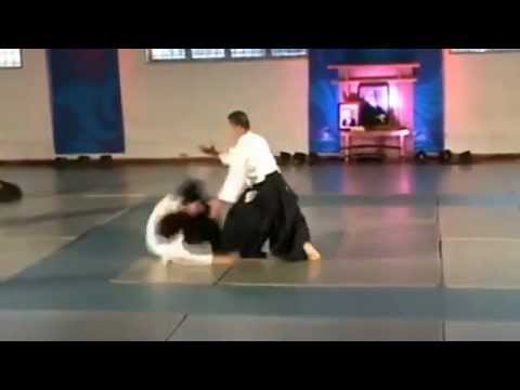 Horii Etsuji Shihan - Hanoi - 2010