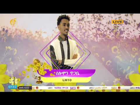 selemon tigabe (sra feto siyaysh) amazing performance on fana lamrot ድምፃዊ ሰሎሞን ጥጋቤ -ስራ ፈቶ ሲያይሽ