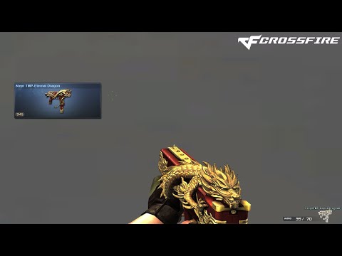 CF Preview | Steyr TMP-Eternal Dragon