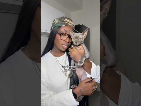 lavo il mio gatto senza pelo... Ig: naomiakano