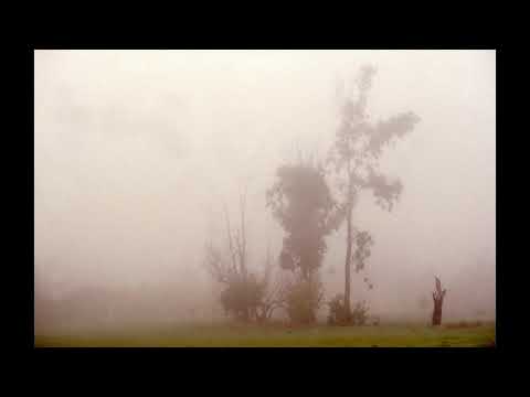 Viacheslav  Ganelin  -  “Choreographic  Concertino” for  Symphony Orchestra (1968),Thesis.