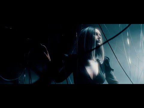 The Bunny The Bear - In the Feels (Official Music Video)