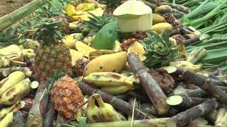 ปางช้างภัทรและชาวบ้านแม่ฮะ อำเภอหางดง เชียงใหม่ ร่วมพิธีบวงสรวงหอเจ้าบ้านและมัดมือสู่ขวัญ