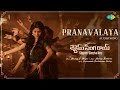 Pranavalaya Audio Song Shyam Singha Roy Telugu Nani Sai Pallavi Mickey J Meyer