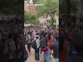 Protesters Face Off With Mounted Police in Austin