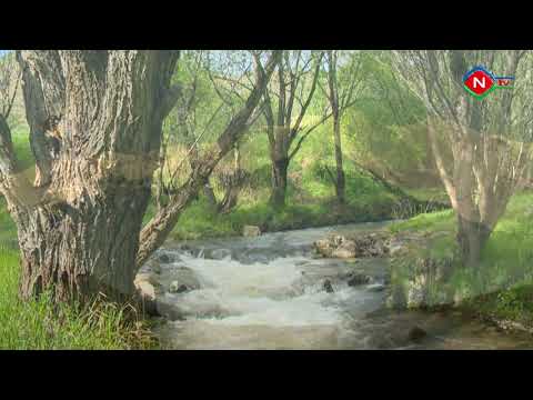 Dağ çayının nəğməsi - 10.06.2022