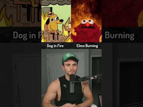 Which GIF Is Better?